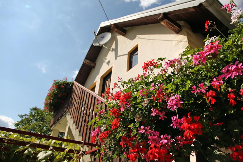 Apartment Ines Smoljanac Exterior photo